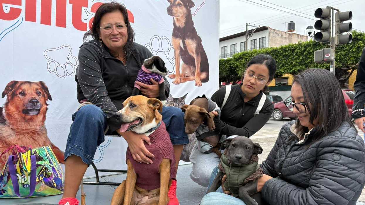 Integrante de Escuadrón Mascota con micrófono, junto a un perro con suéter guinda y una voluntaria con una cachorra en brazos