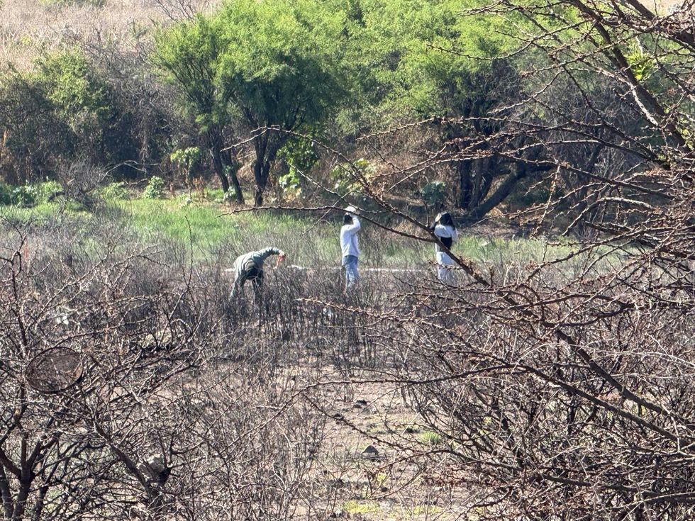 Invasi\u00f3n de predio de varias hect\u00e1reas junto a Prolongaci\u00f3n Constituyente en El Marqu\u00e9s, Quer\u00e9taro