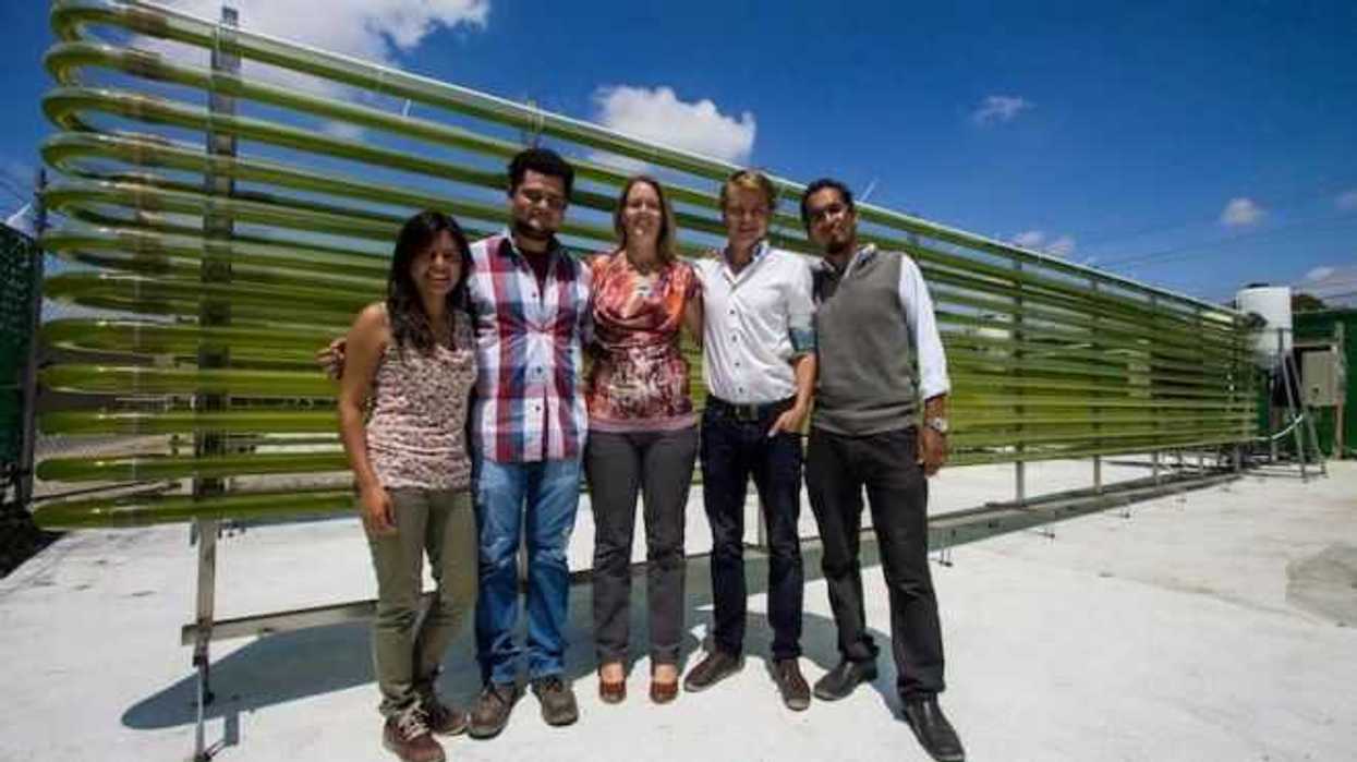 Investigadores de la UAQ realizan un proyecto de tratamiento de agua de drenaje de invernaderos mediante el uso de microalgas. FOTO/NOTIMEX