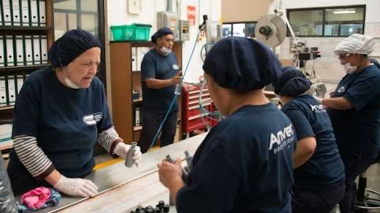 jalisco-registra-aumento-ocho-ciento-en-empleo-en-2017