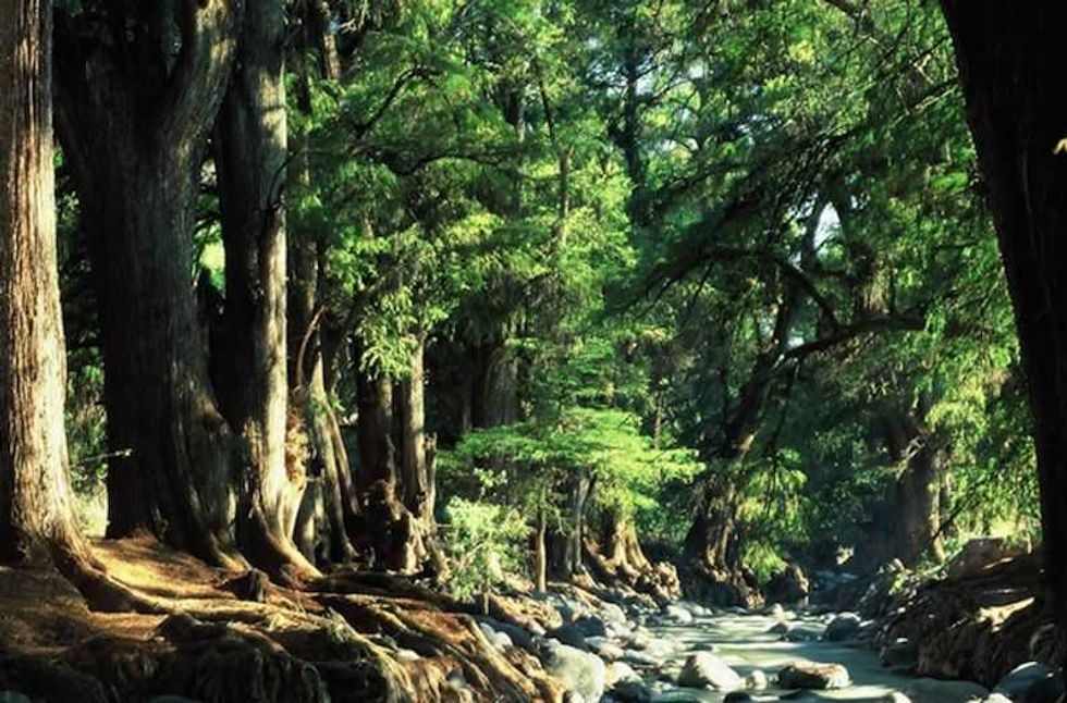 jalpan serra exuberante riqueza natural belleza arte barroco 1