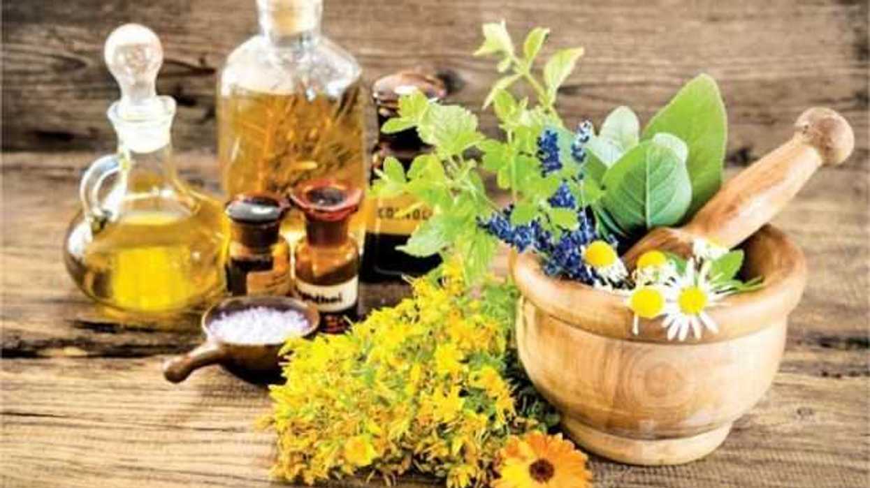 jardin-botanico-de-la-buap-impulsa-investigacion-de-plantas-medicinales