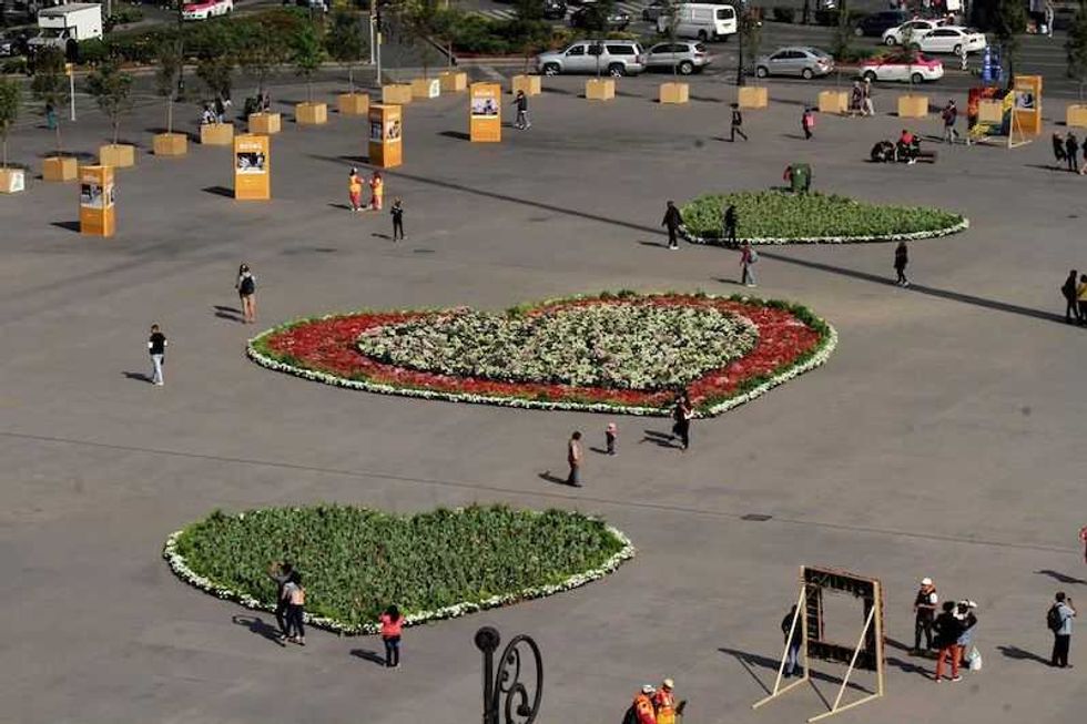 jardin zocalo exposicion para disfrutar de flores besos y fotos 1