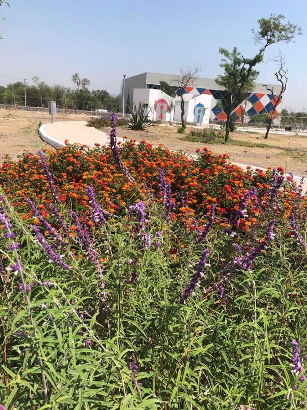 jardines polinizadores