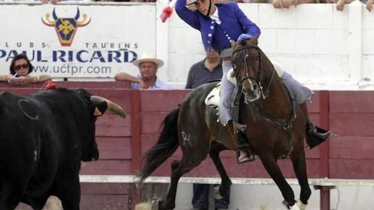 jinete-espanol-hermoso-de-mendoza-triunfa-en-corrida-de-la-insurgencia