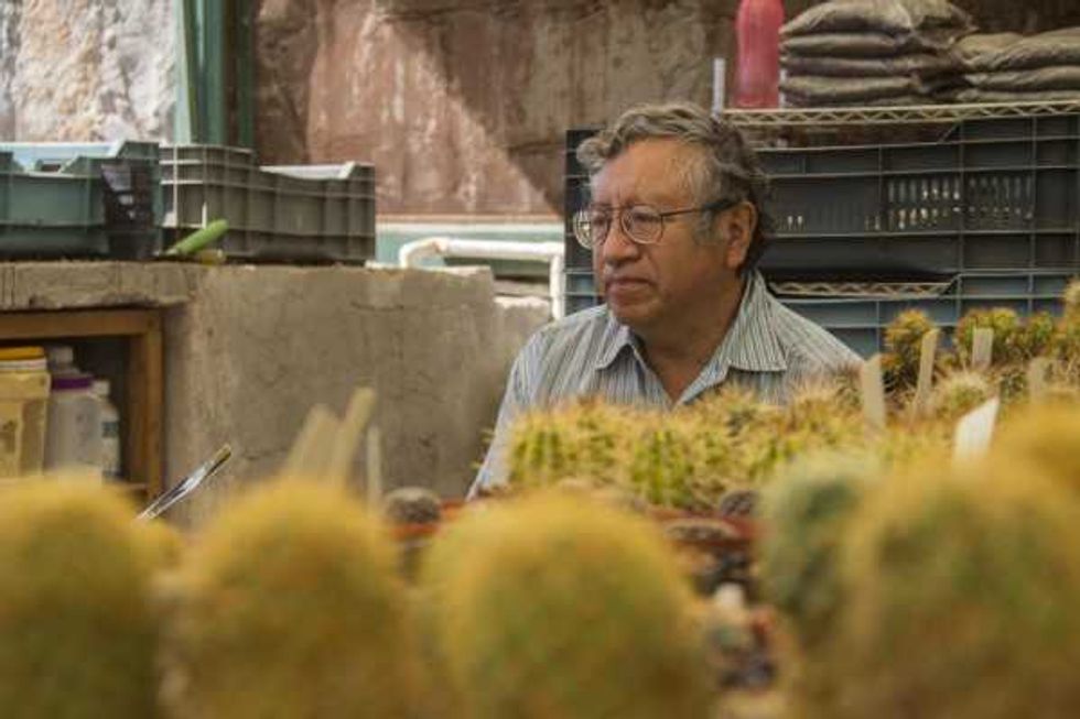 Jorge Eduardo Morales Torres, ha creado un espacio mágico y singular, que es apreciado por cientos de personas de todo el país.