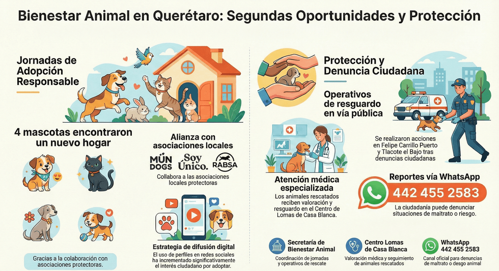 Jornada de adopci\u00f3n de perros y gatos organizada por la Secretar\u00eda de Bienestar Animal del Municipio de Quer\u00e9taro en Plaza Hilvana