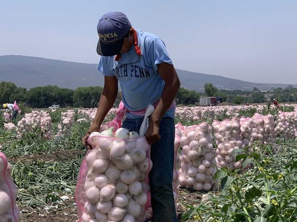 jornaleros agricolas piden a amlo cumpla apoyos 2