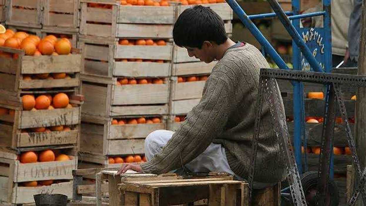 Joven con suéter gris y pantalón blanco sentado frente a una mesa de madera, con cajones de madera apilados con naranjas a su alrededor.