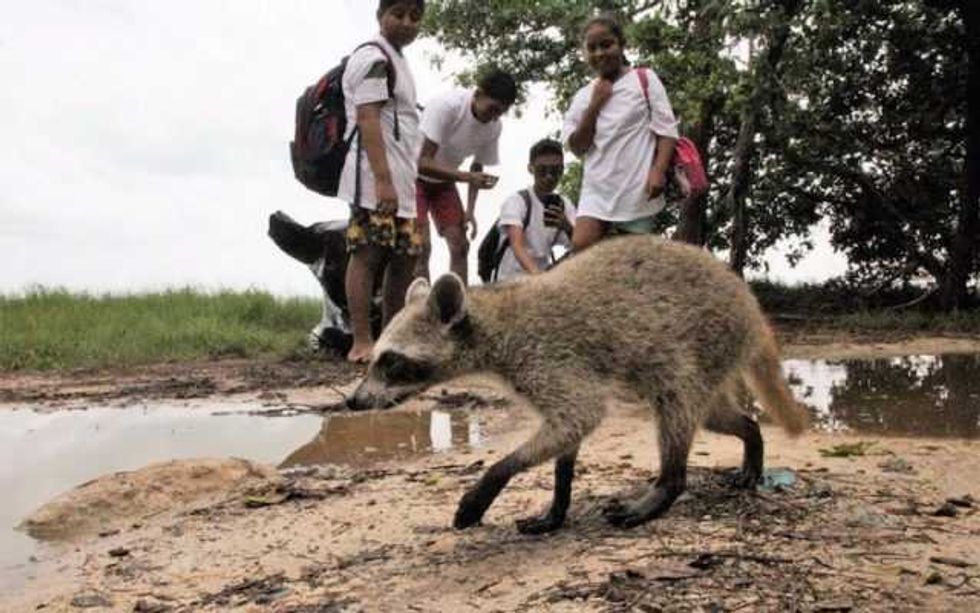 jovenes activistas retiran 66 kilos desechos en bahia ciega 1