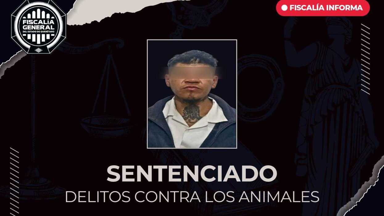 Juez dicta sentencia por maltrato animal contra Marco Antonio "N" por herir a perra en Querétaro
