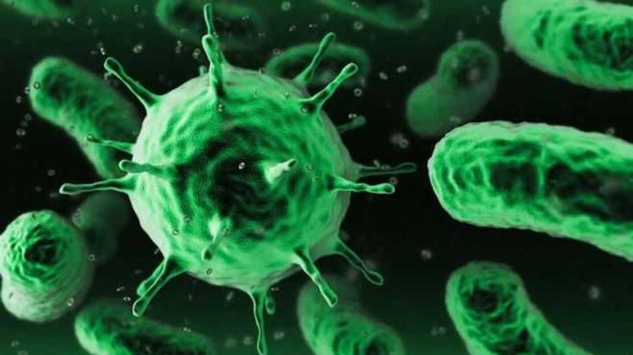 La bacteria Staphylococcus aureus es el principal agente causante de las infecciones intrahospitalarias en el mundo. FOTO/ESPECIAL