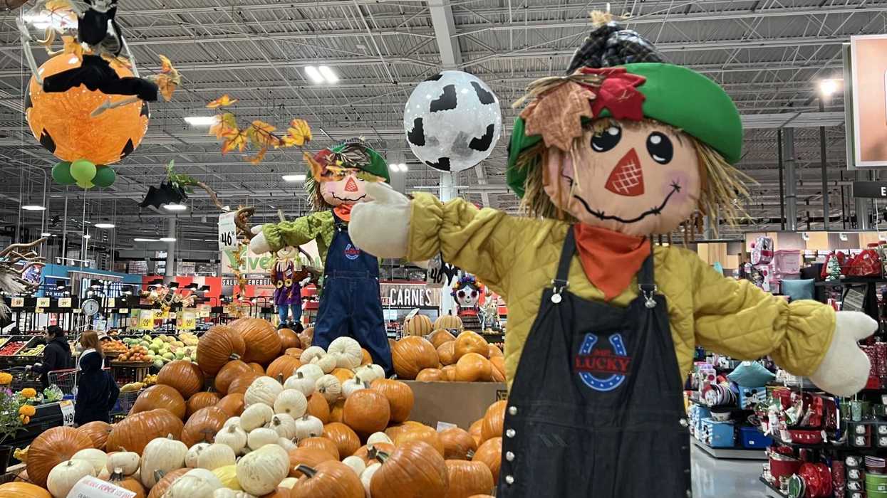 La calabaza naranja, protagonista de Halloween en San Juan del Río.