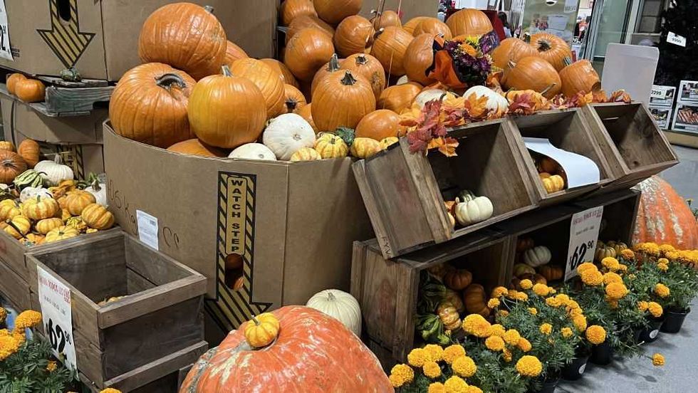 La calabaza naranja, protagonista de Halloween en San Juan del Río.