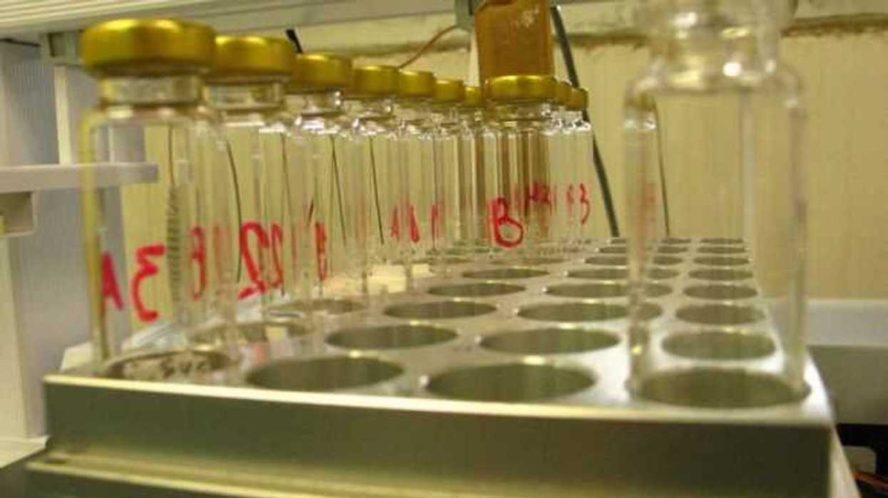 la-ciencia-de-los-sabores-y-fragancias-1