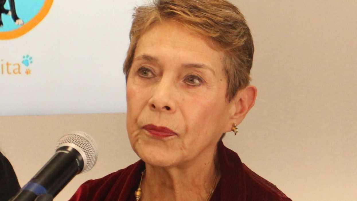 La Fundación Antonio Haghenbeck IAP, se dedica a disminuir la incidencia de animales callejeros en todo el país, mediante el apoyo a asociaciones y el trabajo en conjunto con rescatistas.