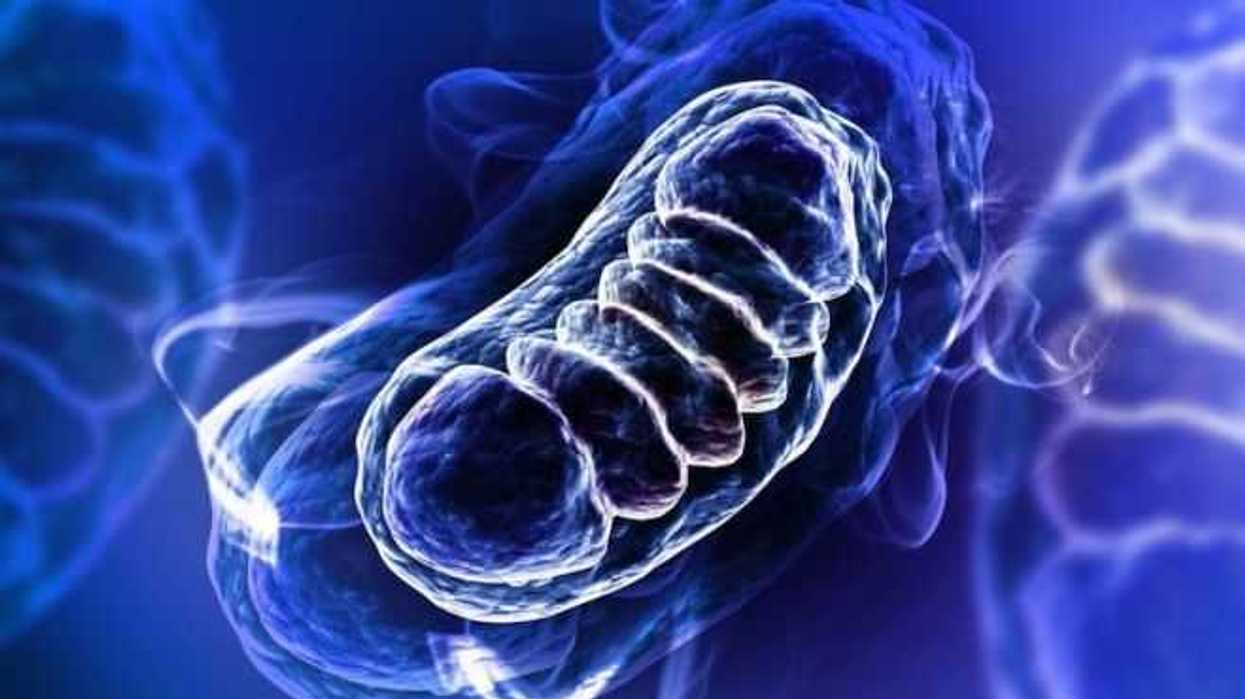 la-mitocondria-en-la-ruta-hacia-tratamientos-dirigidos-1