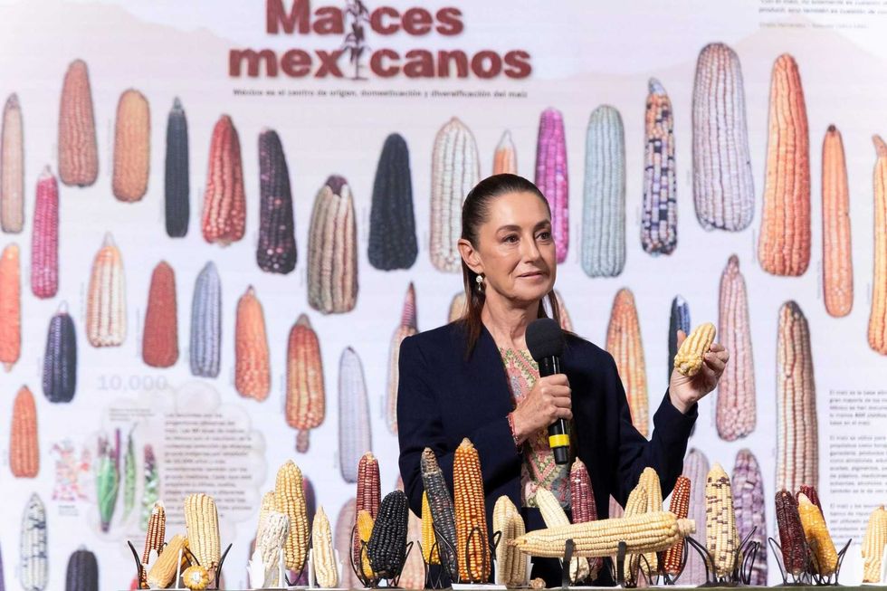 La Presidenta Claudia Sheinbaum Pardo anuncia el programa