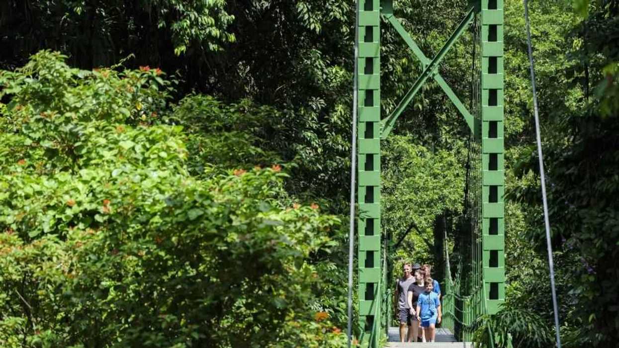 La reforestación y la conservación de bosques, claves para un ganar-ganar en Costa Rica. EFE/ Jeffrey Arguedas.