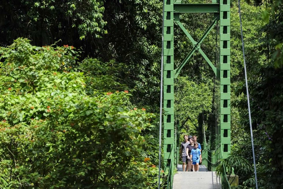 La reforestación y la conservación de bosques, claves para un ganar-ganar en Costa Rica. EFE/ Jeffrey Arguedas.