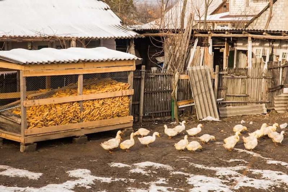 la vida en moldavia el pais mas pobre de europa 2