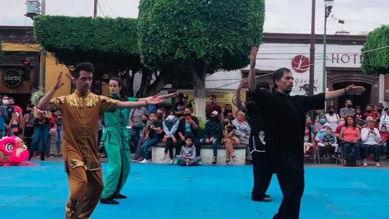 Las disciplinas marciales que se pueden entrenar van desde Kick boxing, Tai chi, Sanda, Wushu y Kung Fu, y pueden acceder a ellas personas de todas las edades.