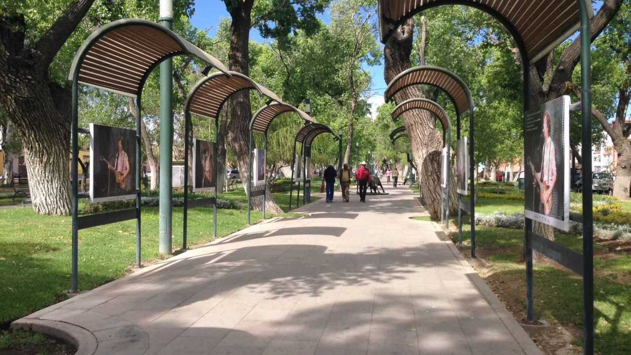 LAS MORERAS Y LAS ALAMEDAS