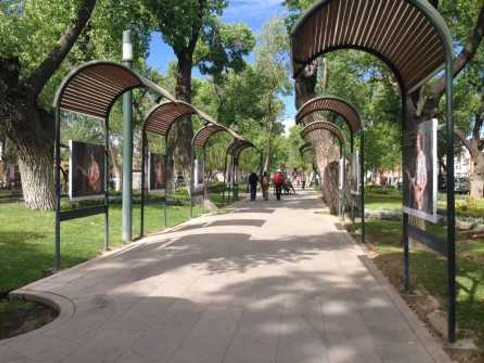 LAS MORERAS Y LAS ALAMEDAS