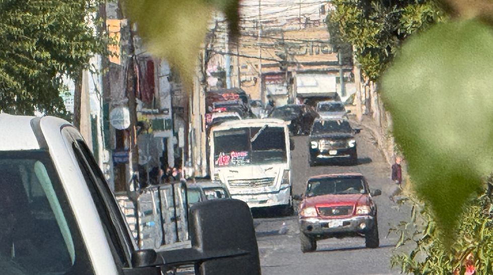 Las sanciones incluyen multas de hasta 100 UMAS, retiro inmediato al corral\u00f3n y revocaci\u00f3n definitiva de concesiones.