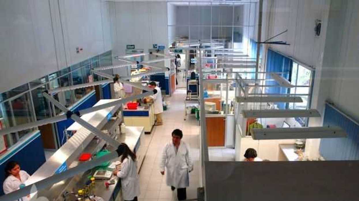 latex-laboratorio-garante-de-inocuidad-alimentaria-y-fitosanidad