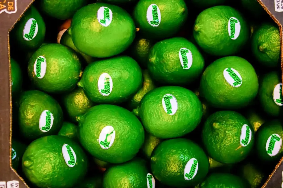 Limones persas con etiquetas dentro de una caja de cart\u00f3n