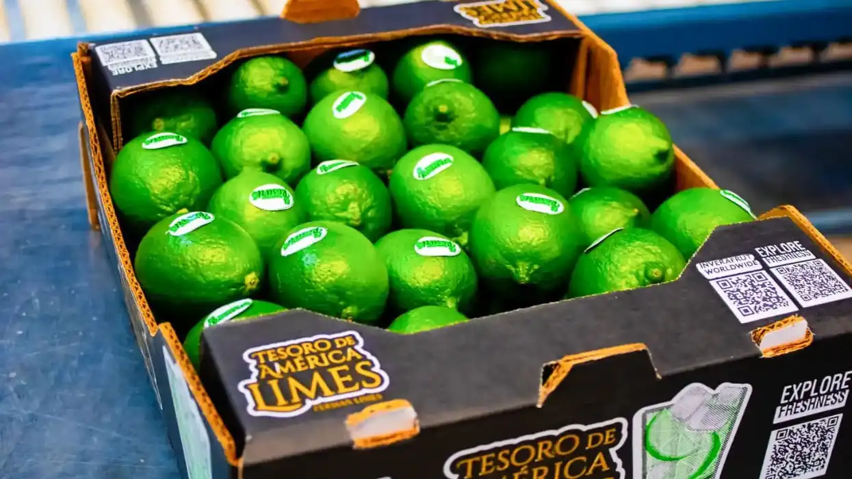 Limones persas con etiquetas dentro de una caja de cartón