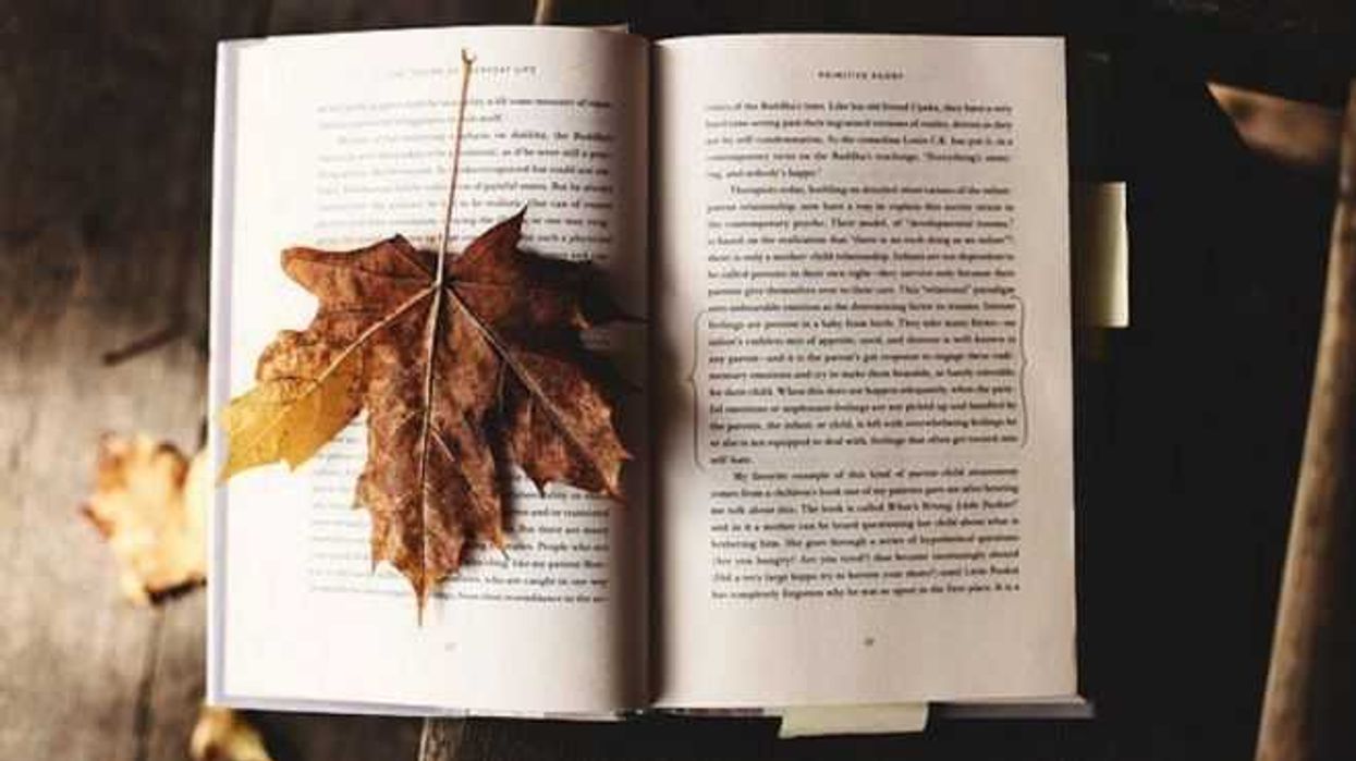 llama-culturas-populares-a-participar-en-dispensario-libros