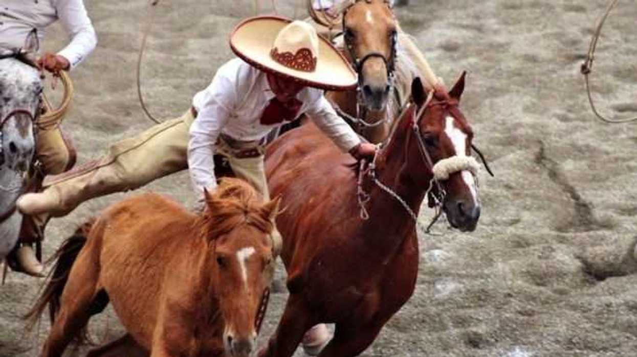 llevaran-a-cabo-charreada-nocturna-este-jueves-en-hidalgo