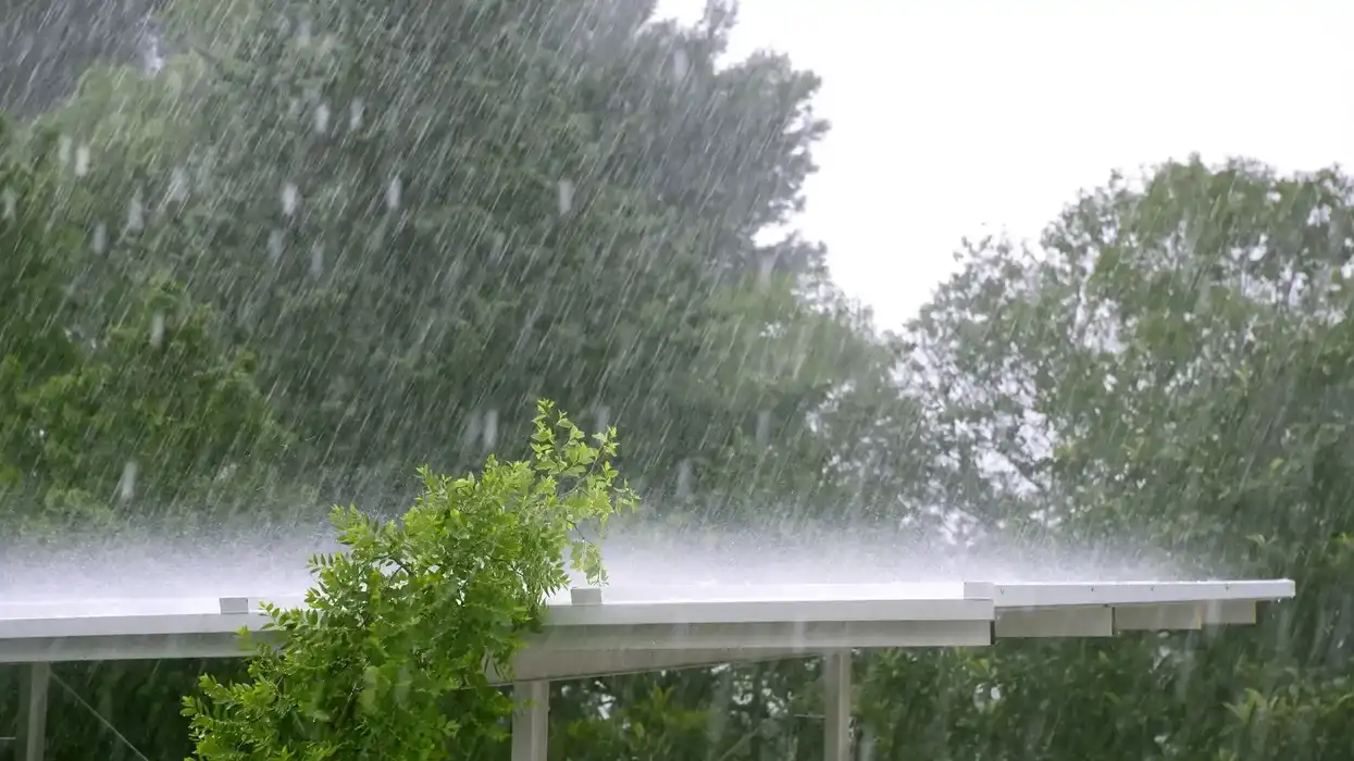 Lluvia intensa cae sobre árboles y una estructura metálica durante una tormenta.