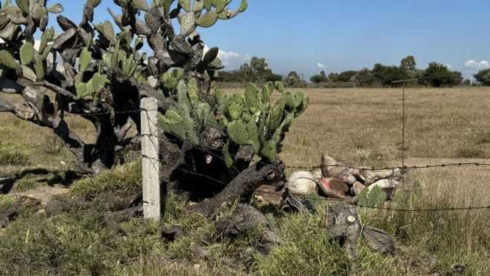 Localizan toma clandestina a pie de carretera en San Juan del Río.
