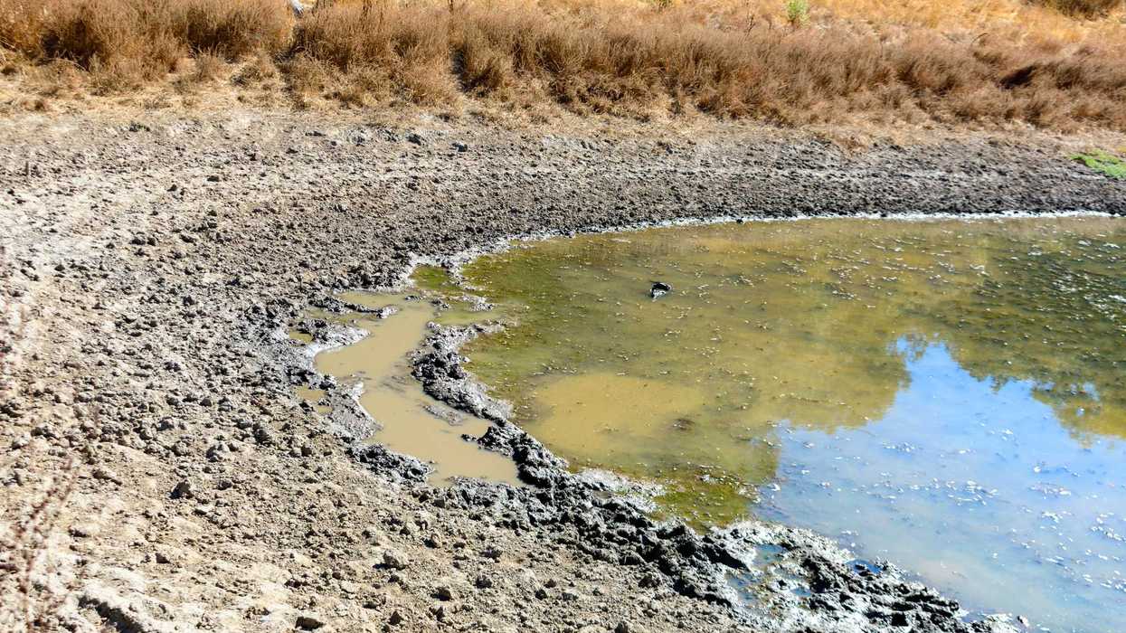Lodo seco junto a un cuerpo de agua reducido; imagen ilustrativa sobre pozos agrícolas y escasez de agua en San Juan del Río