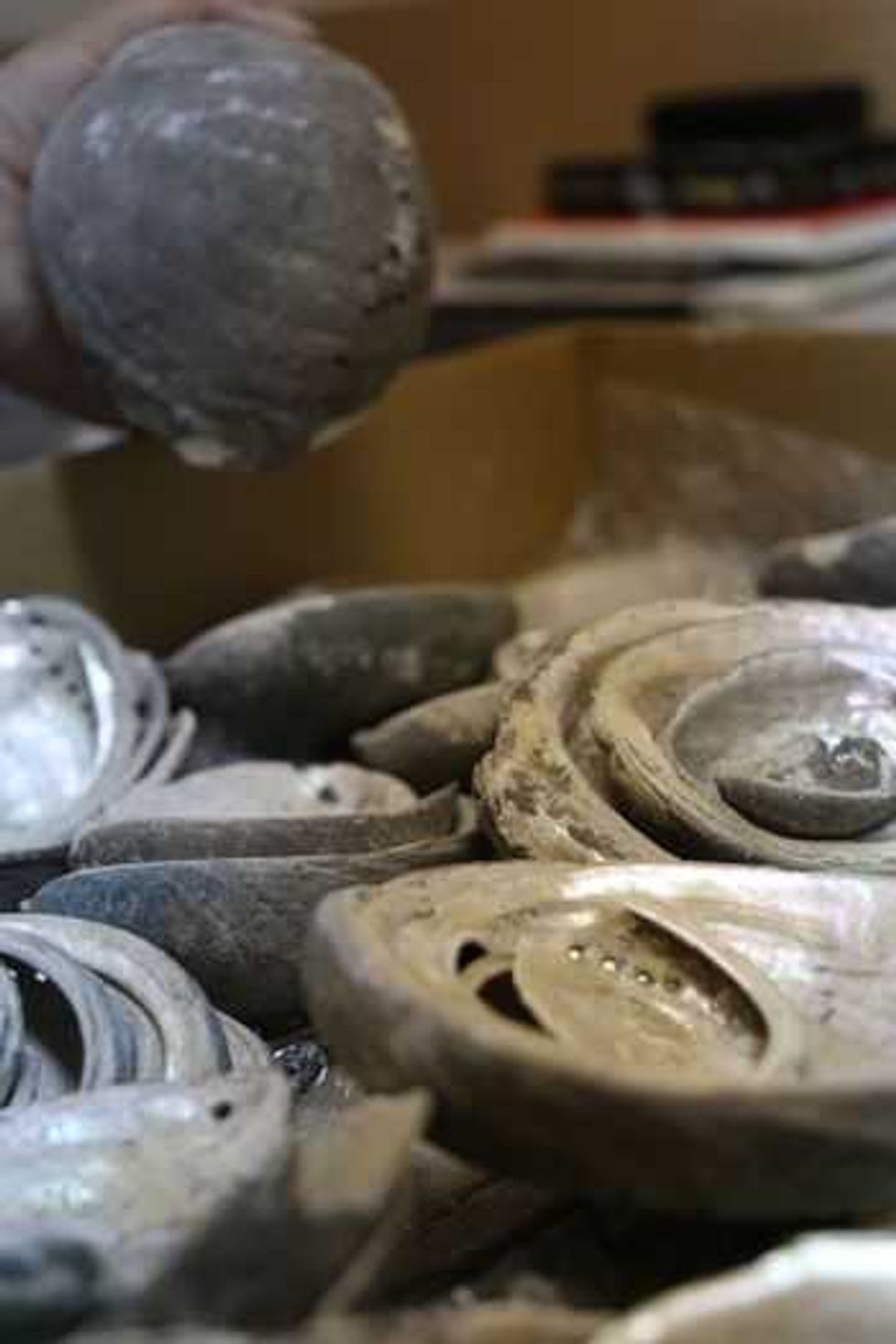 los centinelas del abulon negro6