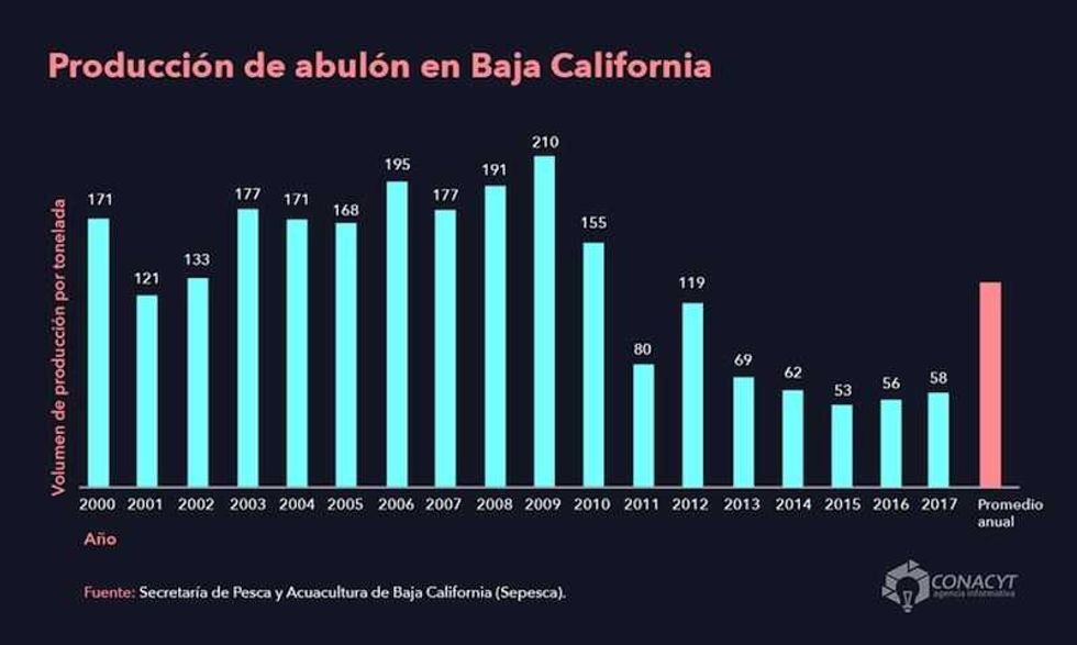 los centinelas del abulon negro8