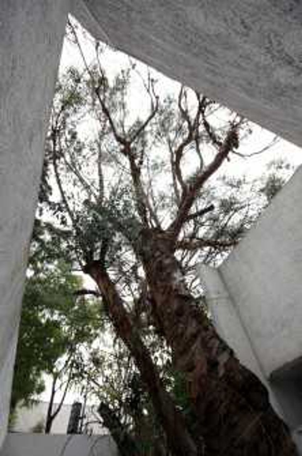 Luis Barragán no fue un arquitecto convencional: Casillas de Alba