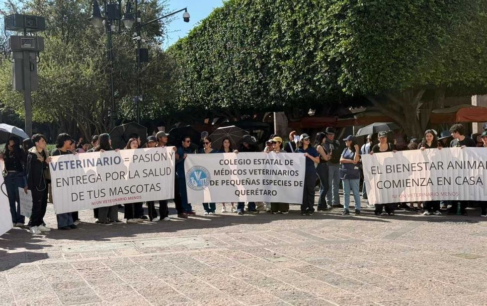 M\u00e9dicos veterinarios de Quer\u00e9taro protestan frente al Palacio de Gobierno con pancartas exigiendo ejercicio profesional sin violencia ante agresiones de due\u00f1os de mascotas
