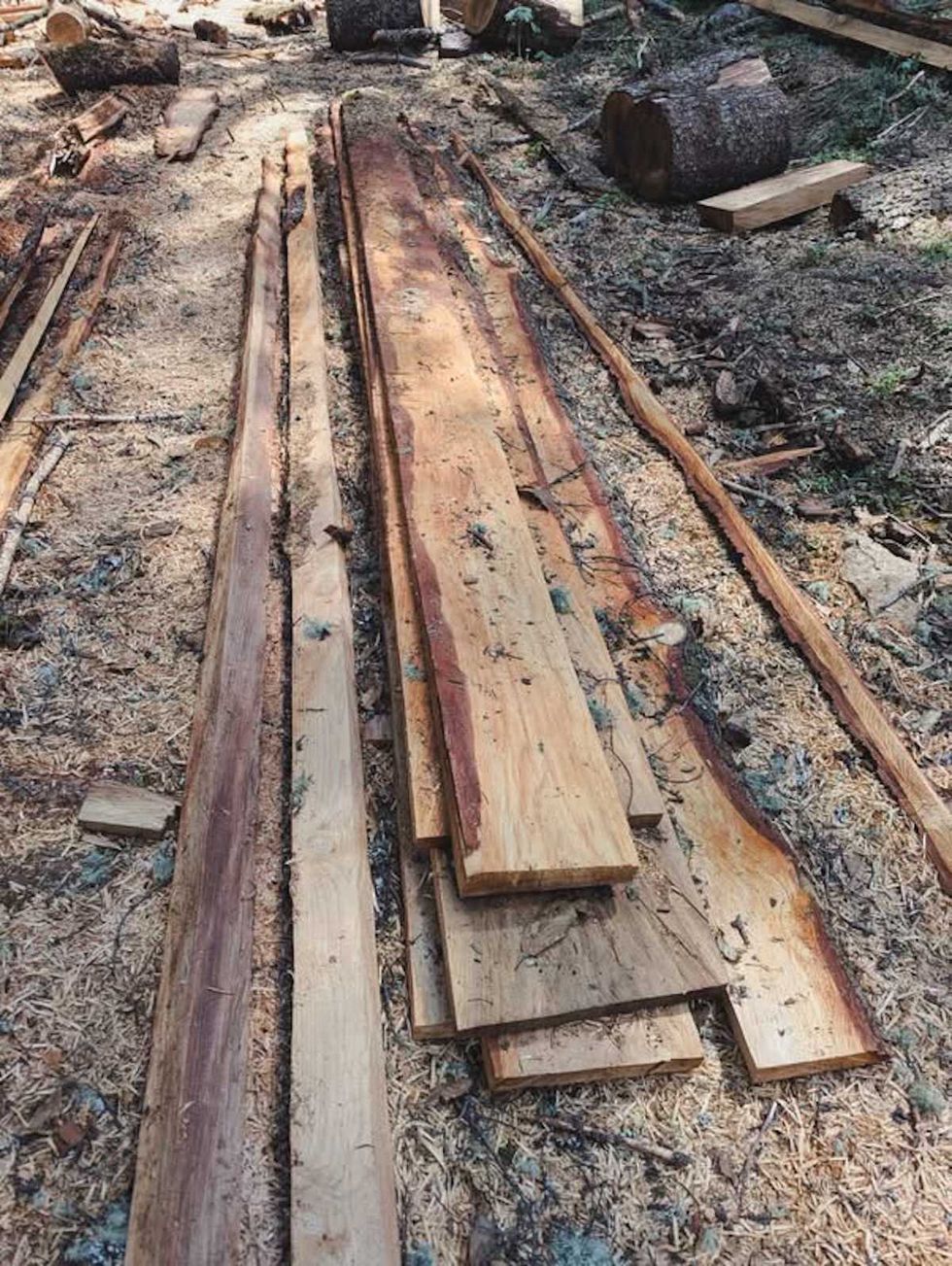 Madera de oyamel aserrada asegurada por Profepa por tala ilegal en Cerro del Zamorano, Col\u00f3n, Quer\u00e9taro