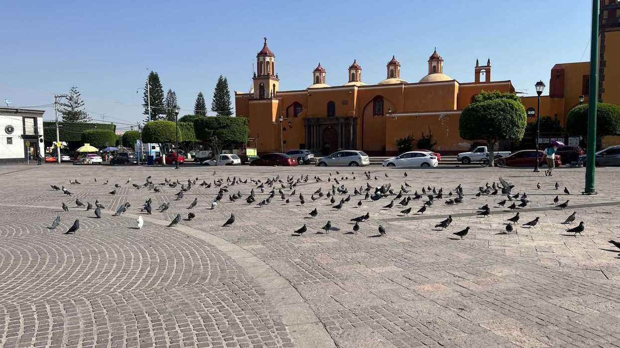 Más de 54 mil viviendas en San Juan del Río con seguro catastrófico.