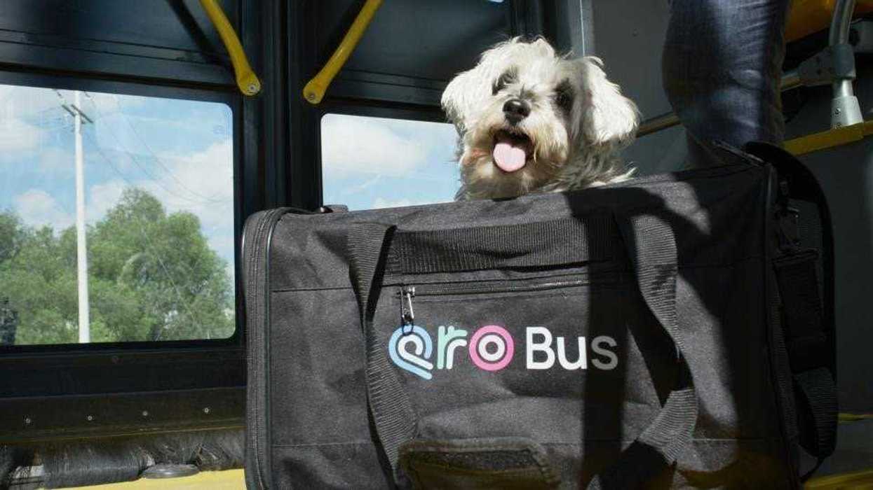 Mascota dentro de transportadora junto a su propietario en estación del sistema Qrobús de Querétaro