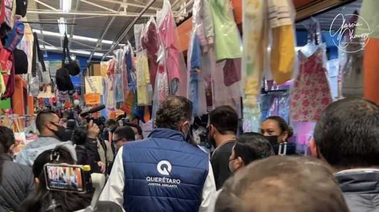 mauricio-kuri-amparos