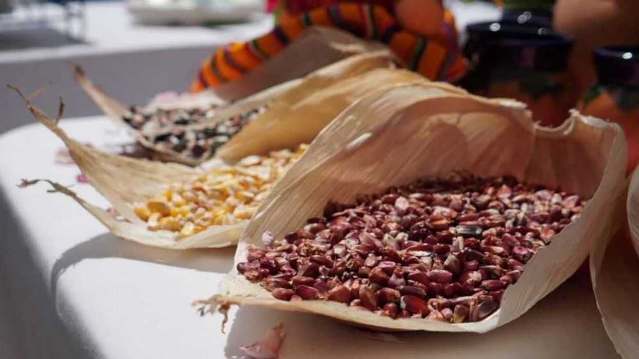 Mercadito para Productores del Campo en San Juan del Río.