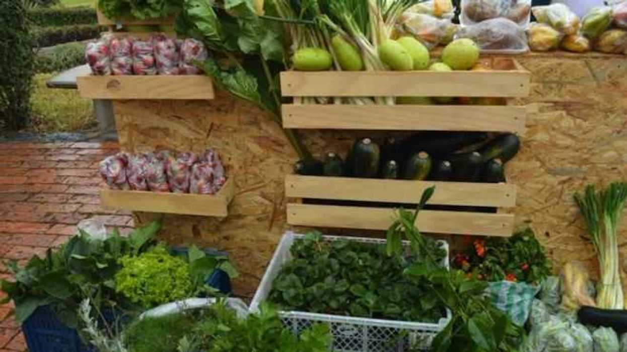 mercado-verde-apoya-el-comercio-ecologico-de-cuernavaca