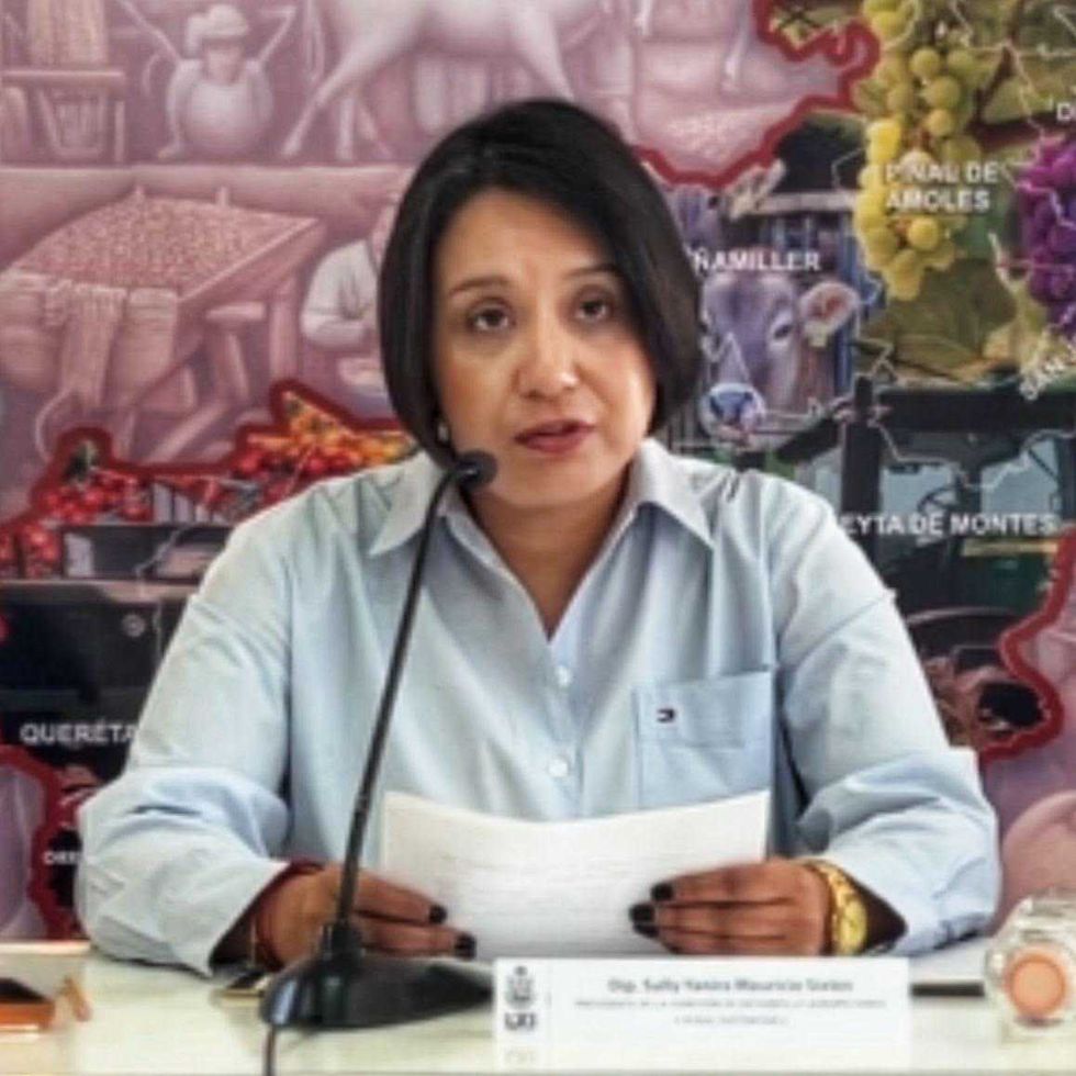 Mesa de trabajo para armonizaci\u00f3n de la Ley General de Aguas en Pedro Escobedo Quer\u00e9taro con diputada Sully Mauricio y autoridades