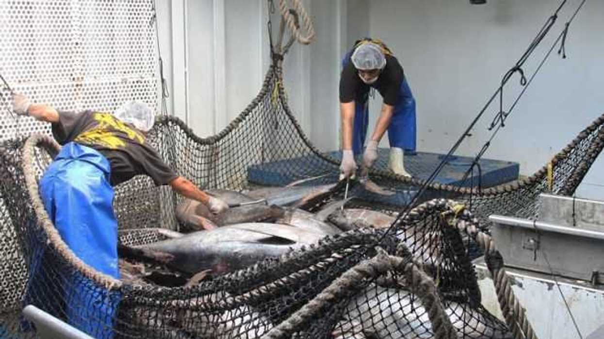 México aumentó su producción pesquera y acuícola en 2021