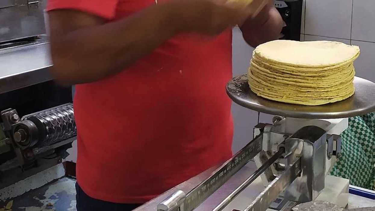 México impone arancel de 50 % a exportaciones de maíz blanco. EFE/José Pazos.